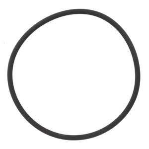 A thin, black rubber O-ring against a white background, compatible with Fendt models and known as the AGCO | O Ring - 4226269M1 by AGCO.