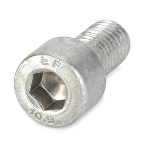 An AGCO Hex Socket Screw (3009285X1) in silver, featuring the engravings "10.9" and "EF" on its head, measuring 24.08mm in length.