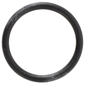 AGCO | O-RING - F916961020040