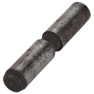 The AGCO Dowel (Fel150329) is a cylindrical metal pin featuring a textured, worn surface. It has a central indented section and appears to be made of steel. No current product description is available.