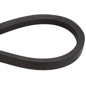 Close-up view of an AGCO BELT - D41982600, featuring its smooth, continuous loop shape in black rubber against a white background.