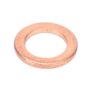 AGCO | Sealing Washer | AG-X540001078000