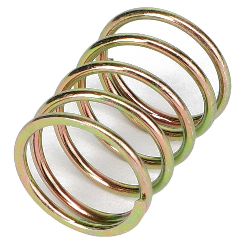 AGCO | Compression Spring | AG-1696505M1