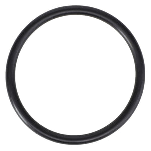 A black rubber O-ring from AGCO, branded as the AGCO | O Ring - 70924114, compatible with Fendt Models, displayed against a plain white background.