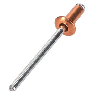 A close-up of the AGCO Rivet - La14643292 featuring a copper-colored head and metal shaft, isolated on a white background.