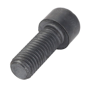 Close-up of the AGCO Bolt - Acp0501460, a black metal socket head cap screw with a threaded shaft and cylindrical head.