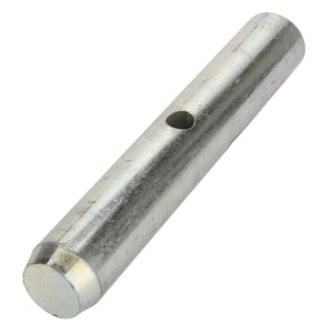 A cylindrical metal rod with a single drilled hole near the center, specifically the AGCO Clevis Pin (model AL1116669), currently lacks a detailed product description.