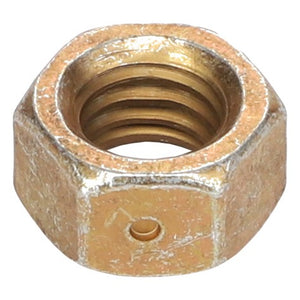 AGCO | HEX NUT - AG557676