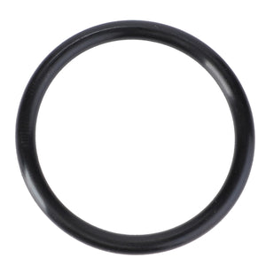 An AGCO O-ring, model Vkh4131, known for its genuine O-ring seals and black rubber material, isolated on a white background.