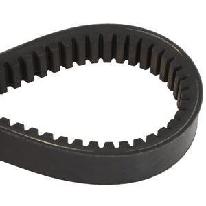 Close-up image of the AGCO | BELT - D41980100, a black, rubber, toothed drive belt with a teardrop-shaped loop. No current product description information available.