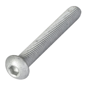 Close-up of an AGCO Hex Socket Screw (Acw5118190), highlighting its precise threads along its length and smoothly rounded stainless steel cap.