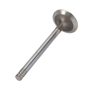 AGCO Exhaust Valve OEM Engine Part for Massey Ferguson | 4222147M91