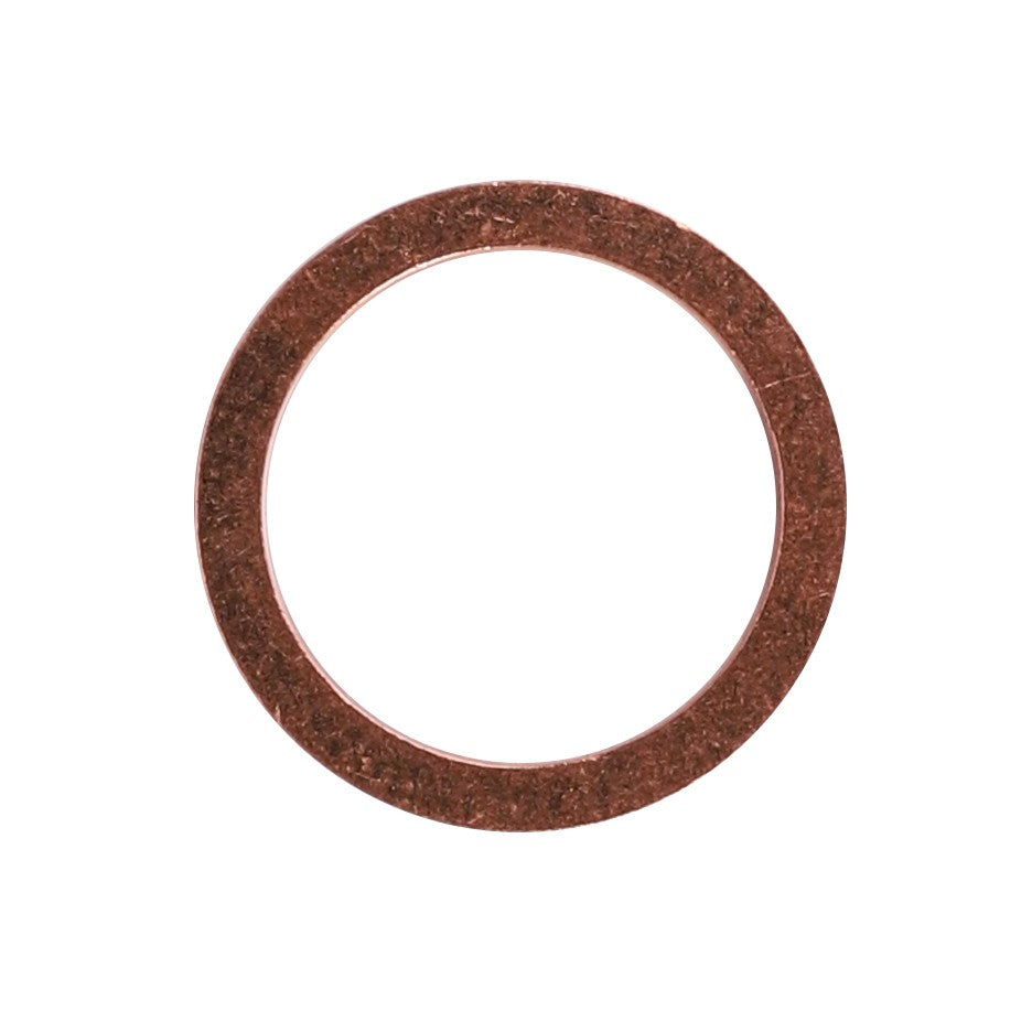 AGCO | Sealing Washer | AG-X540003678000