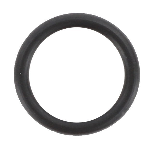 AGCO | O Ring | AG-3015300X1