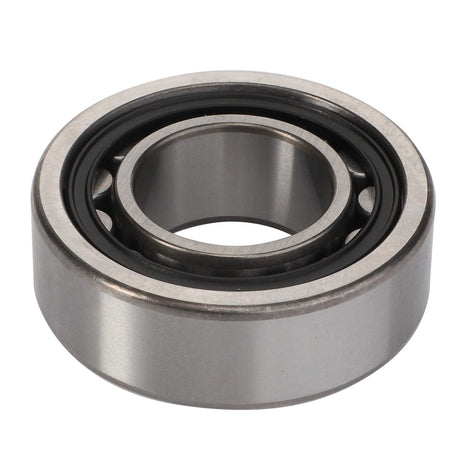AGCO | Cylindrical Roller Bearing - 3000444X1 - Farming Parts
