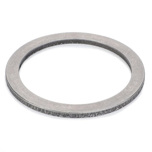 A flat, circular metal ring with a textured surface featuring an inner circular cutout. Product Name: AGCO | DISC - D42599200 by AGCO. No current product description information is available.