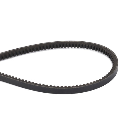 Close-up of the AGCO V Belt - D41990019 with teeth on the inner edge, forming an elongated loop against a white background, commonly used in Massey Ferguson Models.