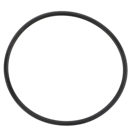 A black rubber O-ring, labeled as AGCO | O Ring - 366525X1, reminiscent of parts used in Fendt models, against a plain white background.