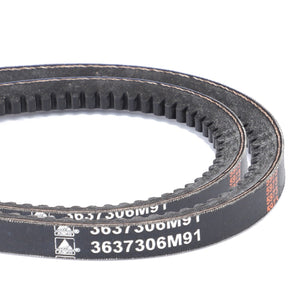 AGCO | V-Belt, Sold As A Matched Pair | AG-3637306M91