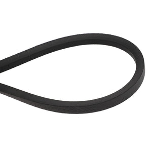 Close-up image of the AGCO | BELT - ACY1583570, a black, V-shaped belt designed for use in machinery and automotive engines. Made of rubber with a smooth surface. No information available on its origin or manufacturing process.