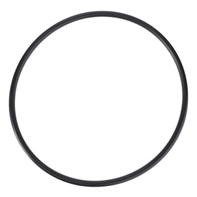 A high-quality AGCO seal, model F119200210250, featuring a black circular rubber O-ring, isolated on a white background.