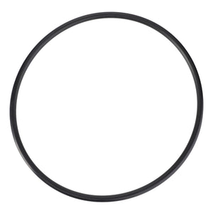 A high-quality AGCO seal, model F119200210250, featuring a black circular rubber O-ring, isolated on a white background.