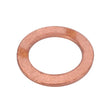 AGCO | Sealing Ring - 3005043X1 - Farming Parts