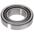 AGCO | Tapered Roller Bearing Assembly - 1110003 - Farming Parts