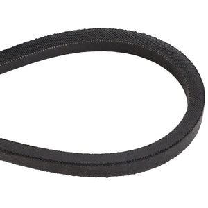 A close-up of the AGCO | BELT - D41911000, a black rubber V-belt commonly used in machinery for transmitting mechanical power. No current product description information is available.