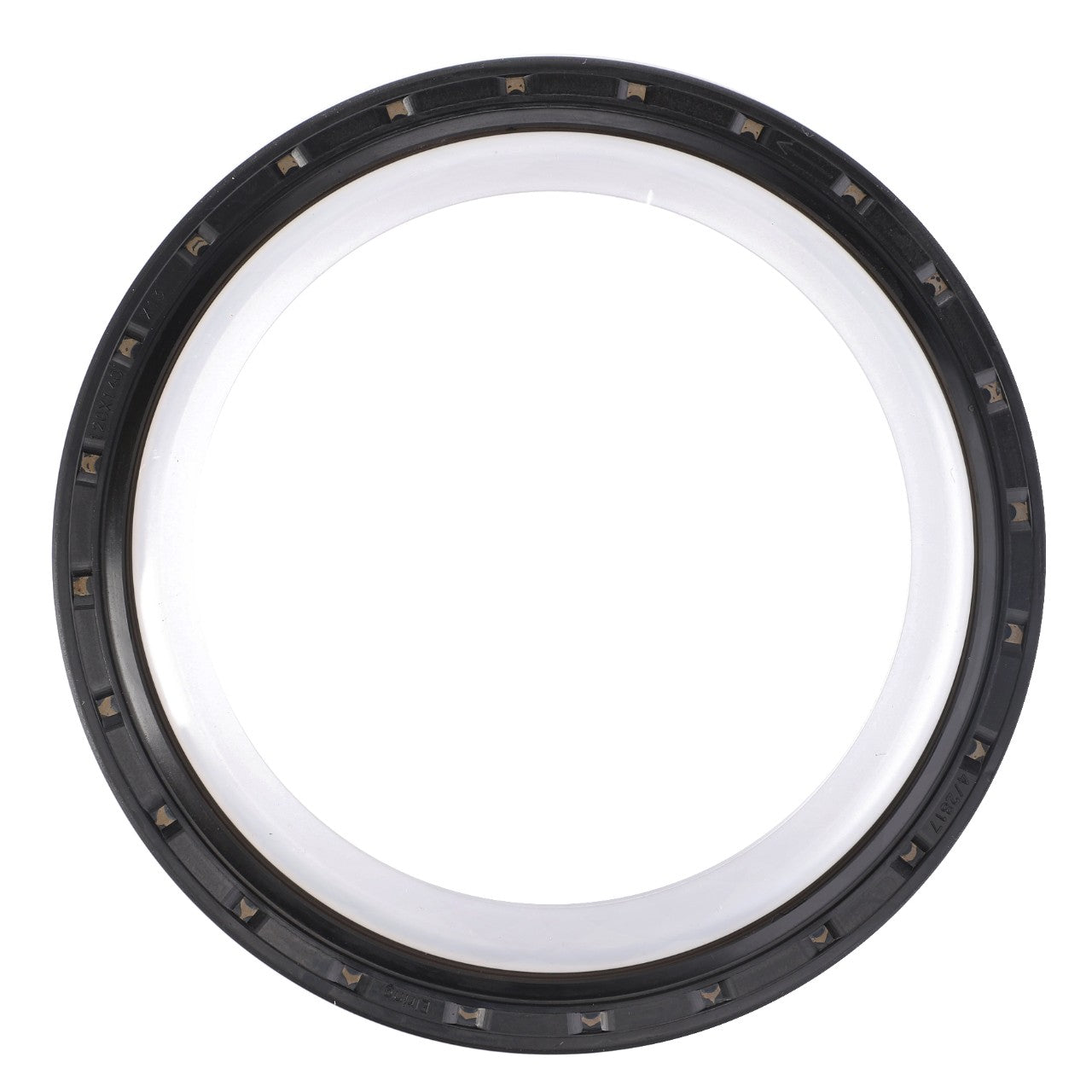 AGCO | Crankshaft Seal, Rear - F836200210530