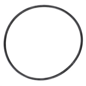 The AGCO | O Ring - Acp0287390, a black rubber O-ring from the brand AGCO, is displayed against a stark white background, accentuating its perfectly round shape.