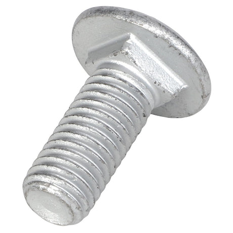 Close-up of the AGCO Round Head Square Neck Carriage Bolt (Acw0998660) with threads along the shaft.