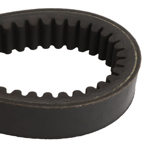 AGCO | BELT - D41980700