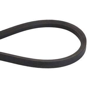 A black rubber V-belt looped in an oval shape against a white background, identified as AGCO | BELT - D41933400.