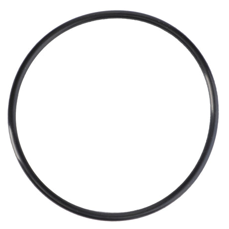 AGCO | O Ring - 4226788M1 - Farming Parts