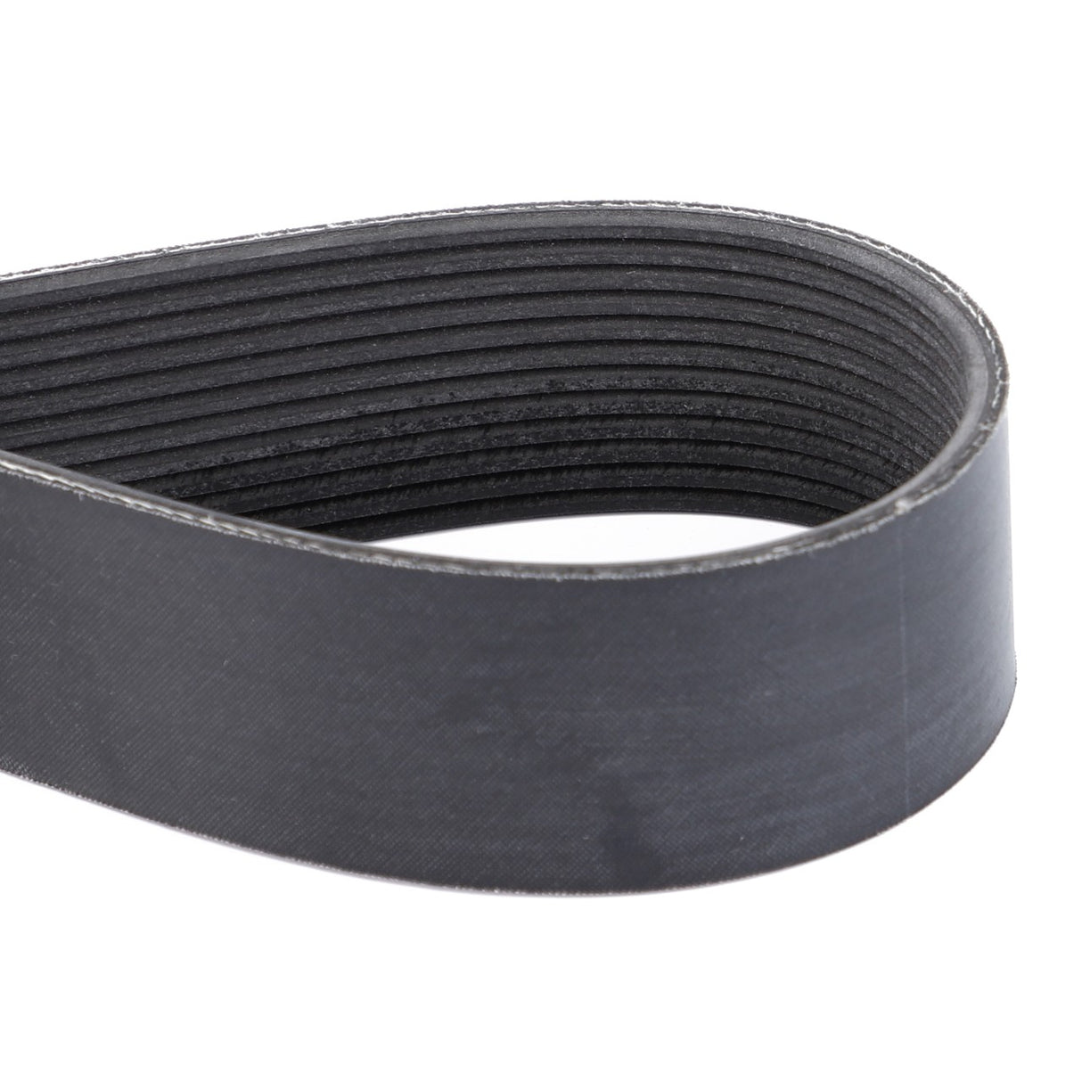AGCO | Serpentine Belt, Pk12 Profile | AG-V685121555