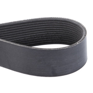 AGCO | Serpentine Belt, Pk12 Profile | AG-V685121555