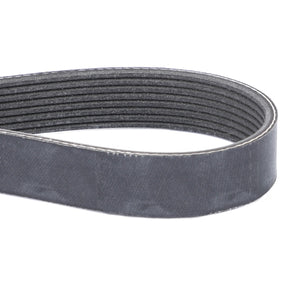 The AGCO Serpentine Belt, model F339202040050 with a Pk8 profile, is black and features coiled grooves on its inner surface to ensure optimal performance, ideal for automotive or machinery applications.