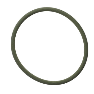 The product, AGCO | Seal - F524200040220, is displayed as a green, circular rubber O-ring against a plain white background.