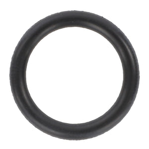 AGCO | O-Ring, Transmission Piston | AG-3583009M1