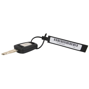 AGCO | Ignition Key | AG-Acp0429010