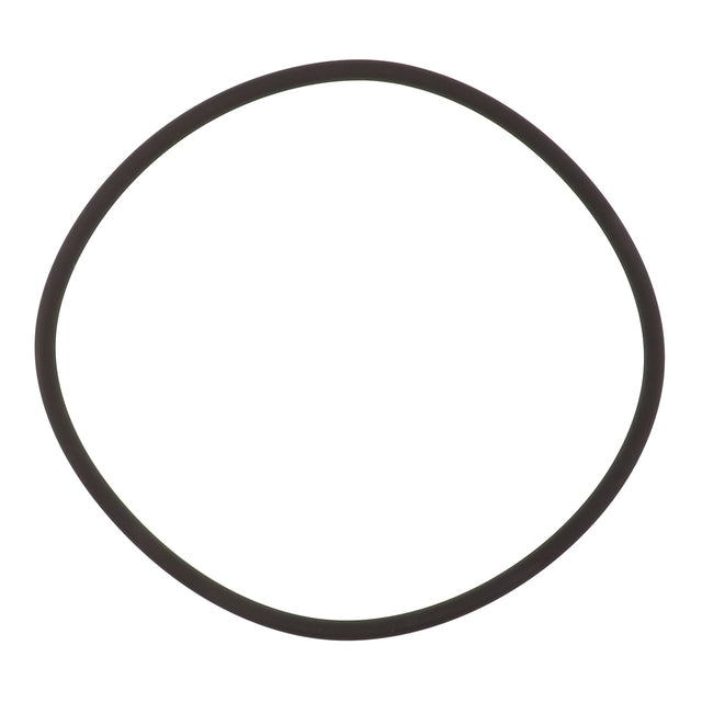 An image of the AGCO | O-Ring - Acp0445890, made from black rubber and slightly misshapen from a perfect circle, on a white background. No current product description available.