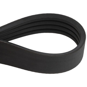 AGCO | BELT - D41990065