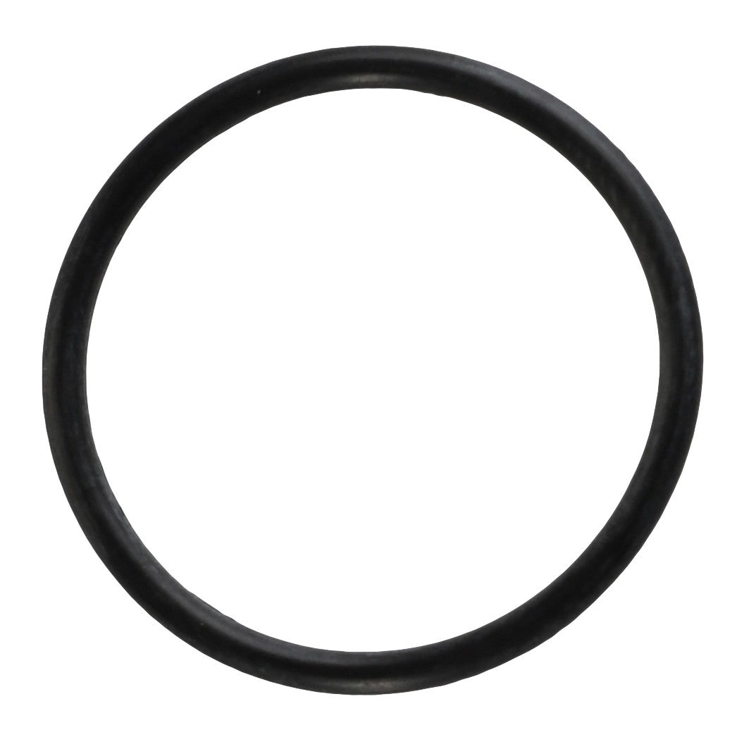 A circular black rubber O-ring, AGCO | O RING - AG519378 by AGCO, is displayed on a white background. No current product description information is available.