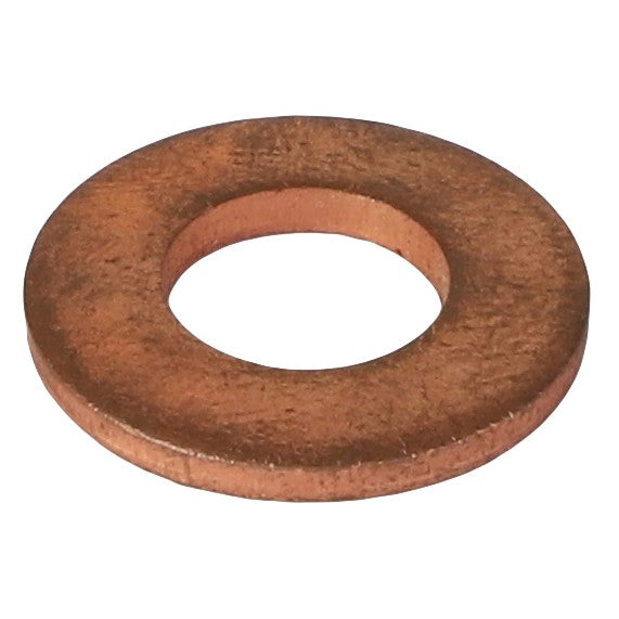 AGCO | SEALING WASHER - D45713600