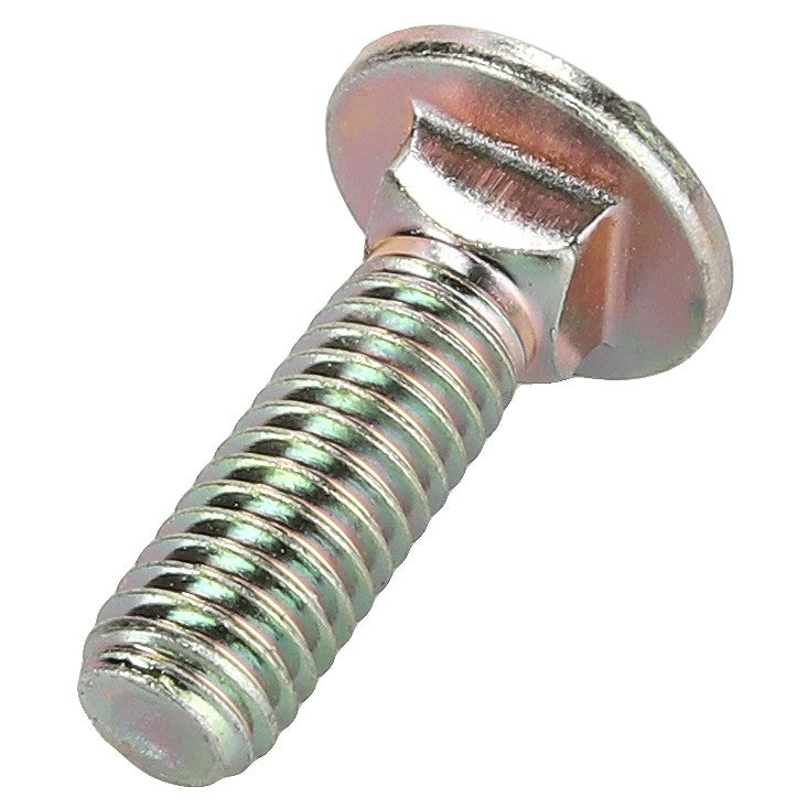 Close-up of an AGCO Carriage Bolt (AG556289) featuring a threaded shaft and a domed, flat head. No current product description information is available.