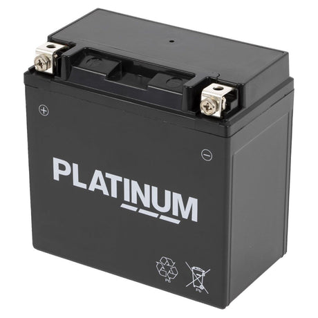 Platinum International Battery - 3933561M1 - Farming Parts