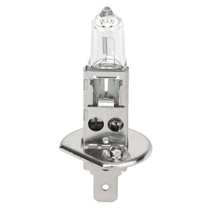 AGCO | Filament Bulb | AG-X830180063010