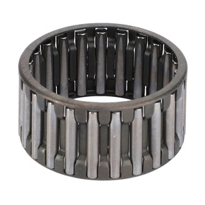 AGCO | Needle Roller Bearing | AG-X638560400000
