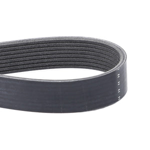 Close-up of the AGCO Genuine Serpentine Belt (F954200040020) in a black, ribbed Pk8 profile, forming a loop shape against a white background.